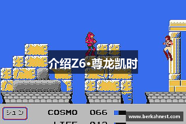 介绍Z6·尊龙凯时